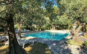La Picholine En Provence
